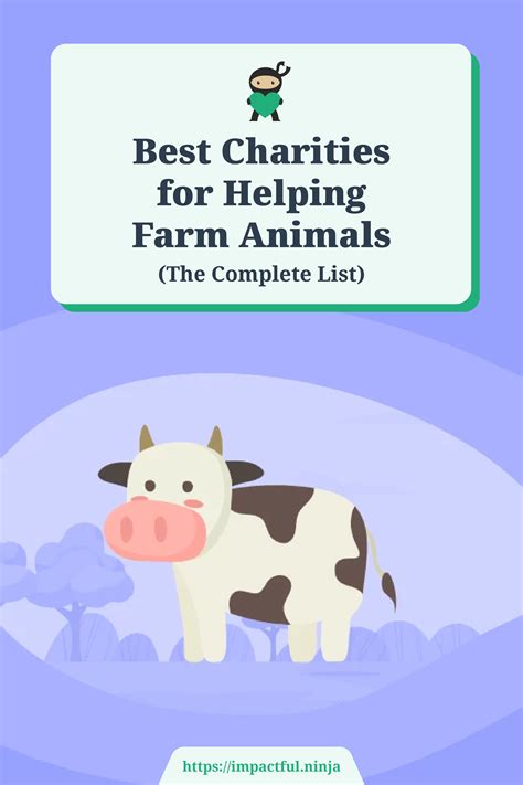 The best charities for helping animals in 2023 and 2024 .